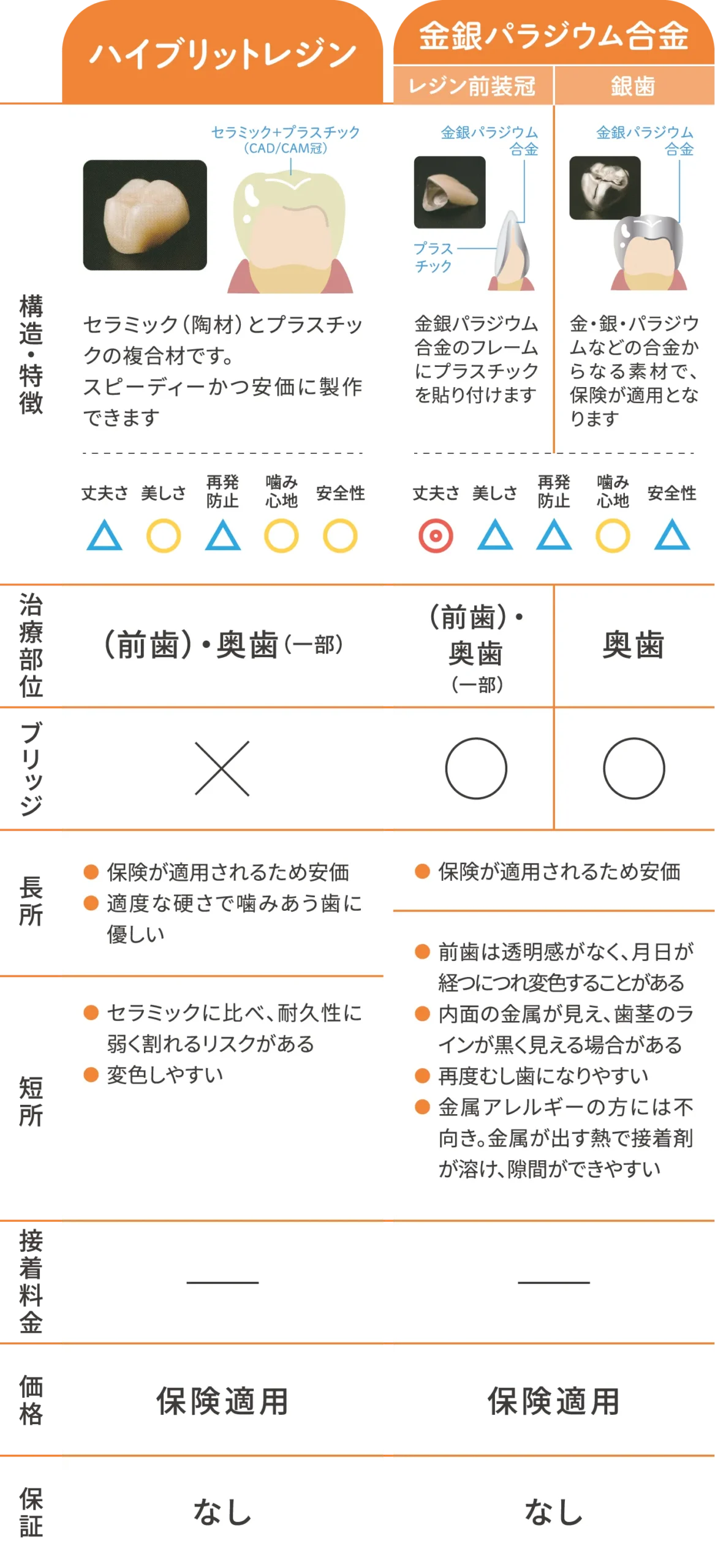 補綴物エコノミー素材詳細