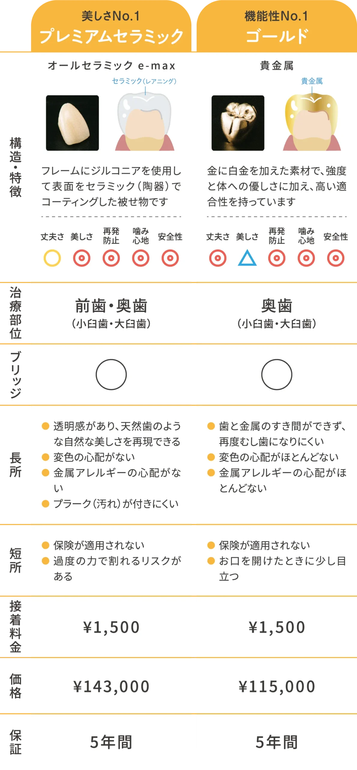 補綴物ハイグレード素材詳細